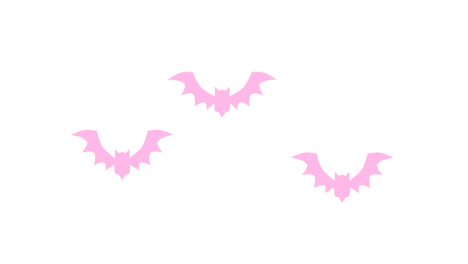 Bat-Transitions.-1080p---30-fps---Alpha-Channel-(3)